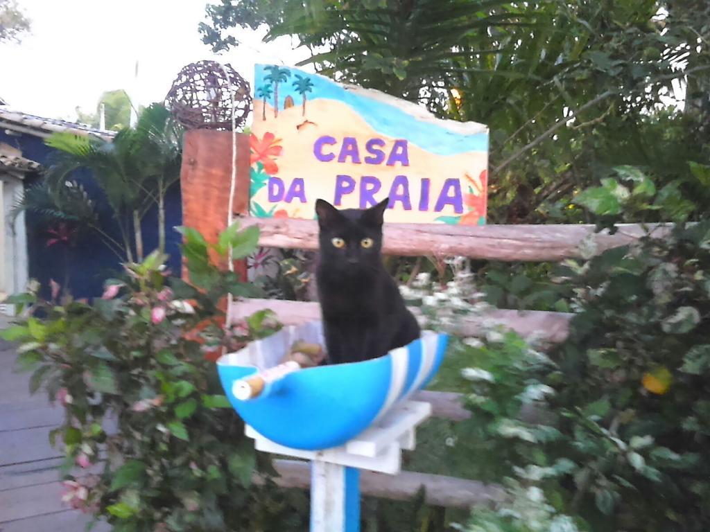 Casa Da *